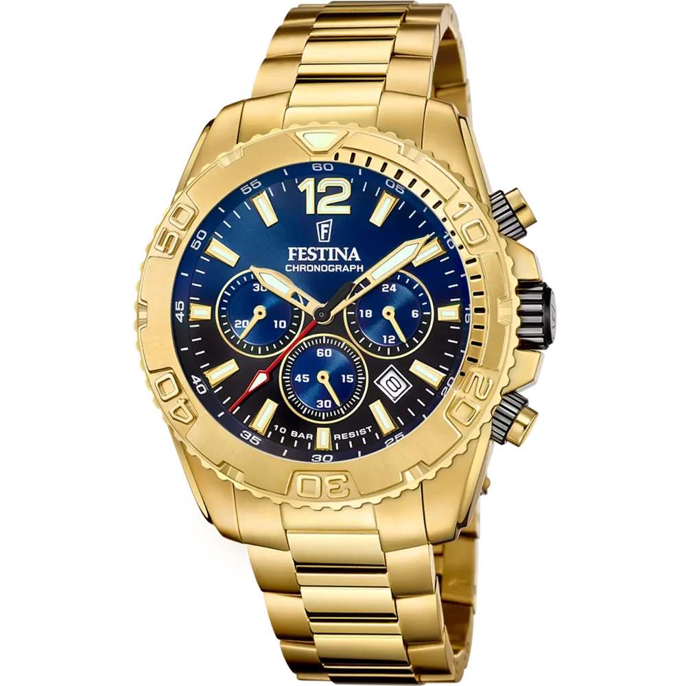 Hodinky Festina 20684/2