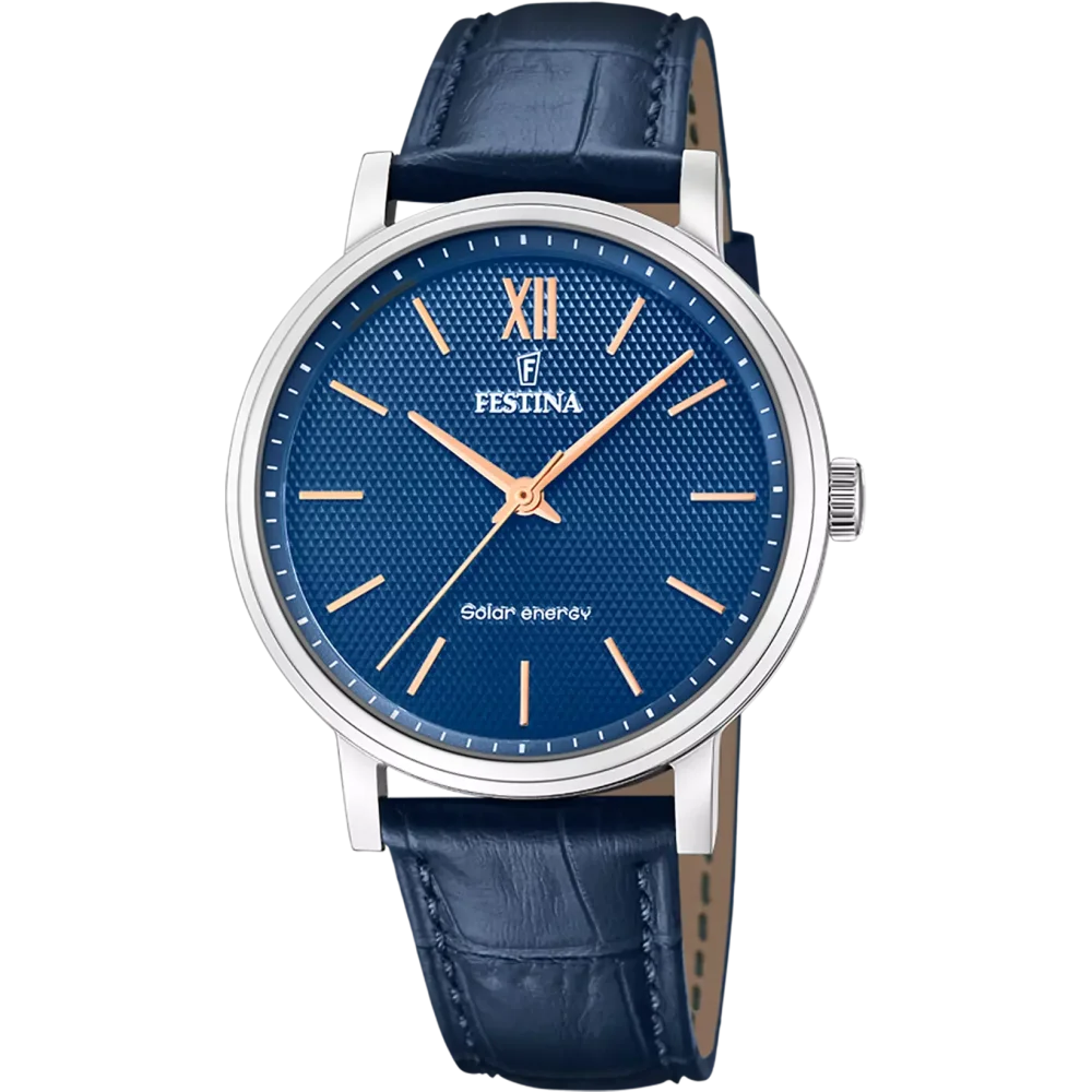 Hodinky Festina 20660/4