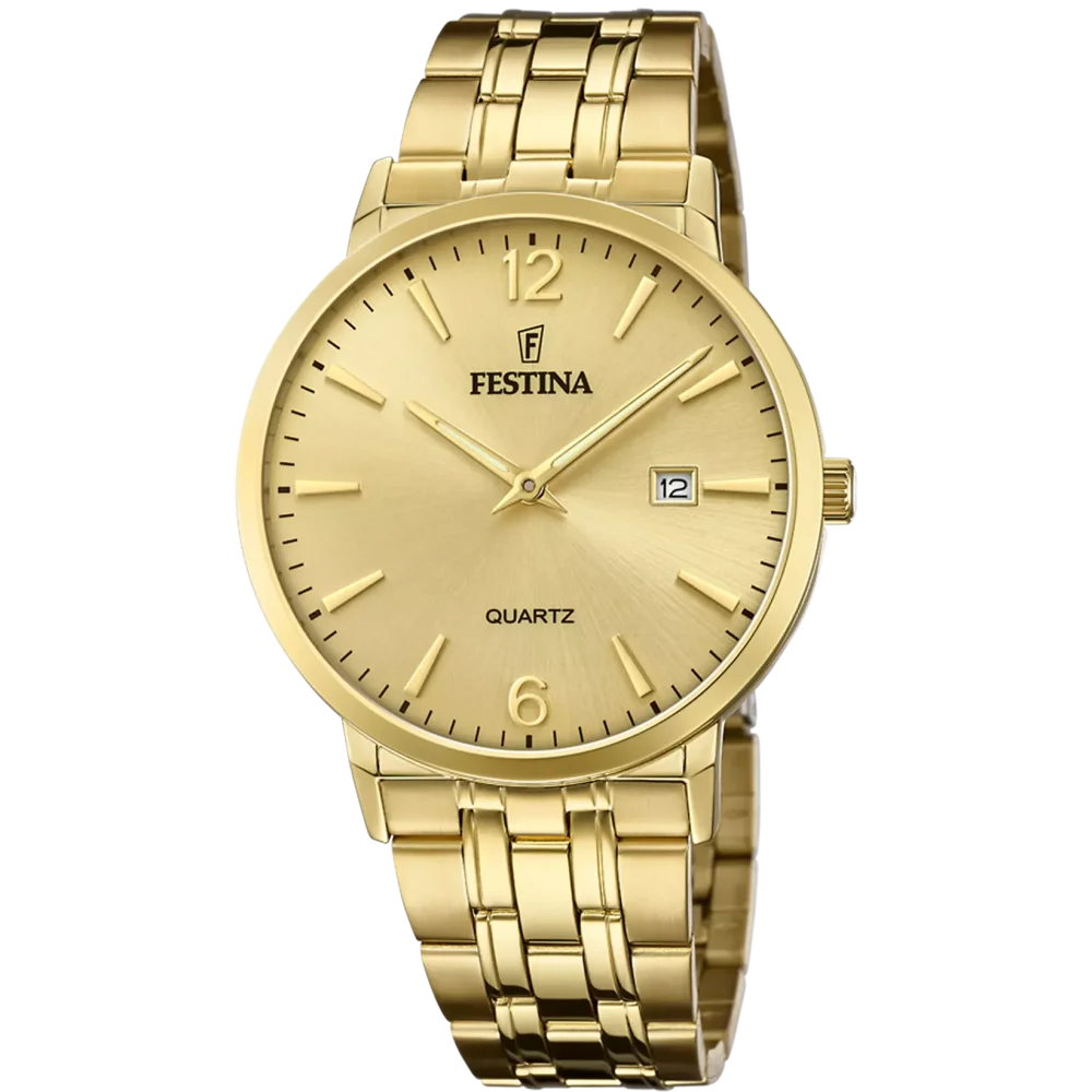 Hodinky Festina 20513/3