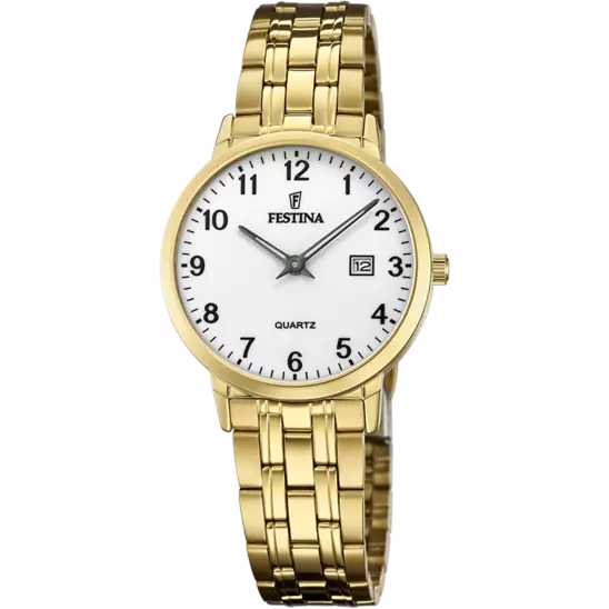 Hodinky Festina 20514/1