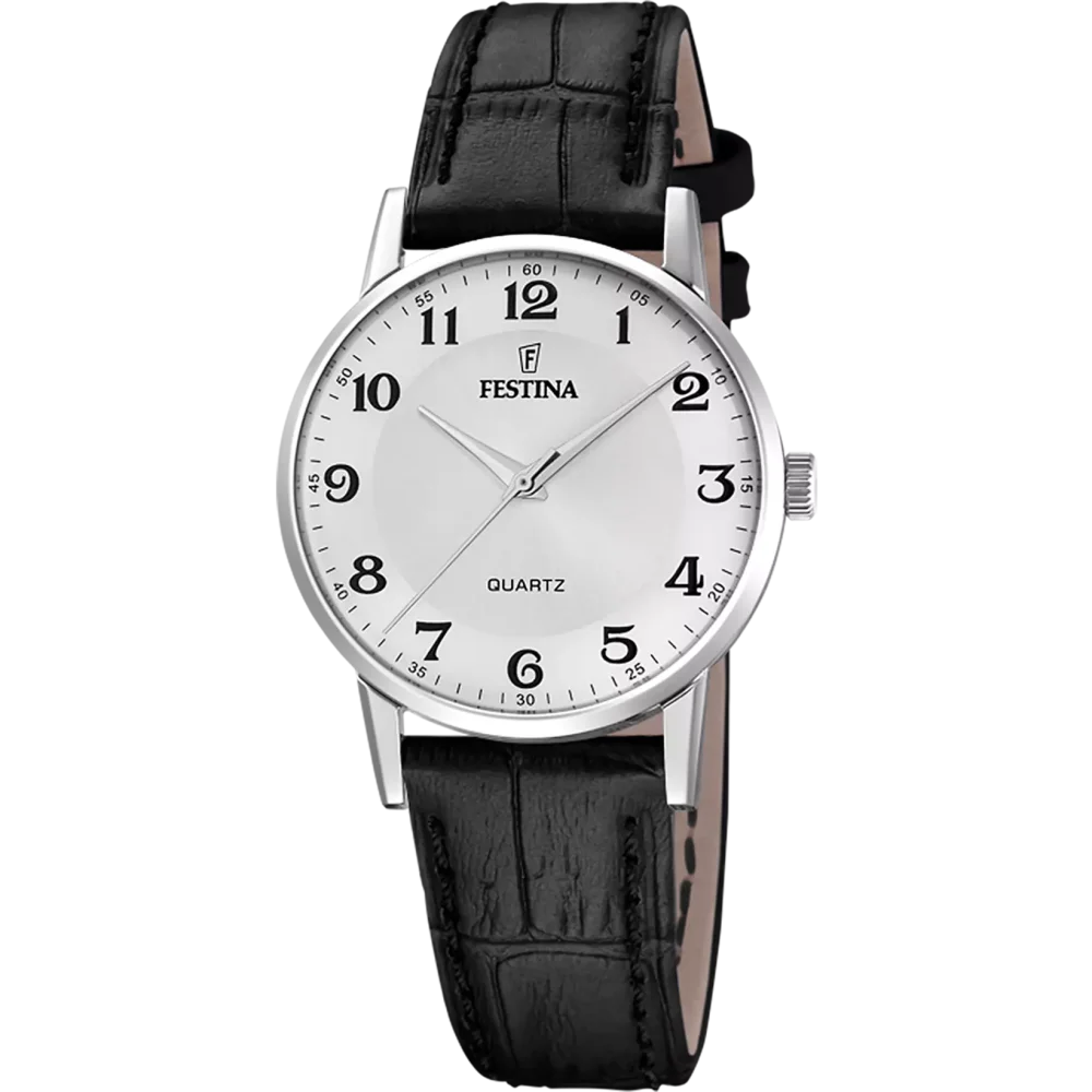 Hodinky Festina 20691/1