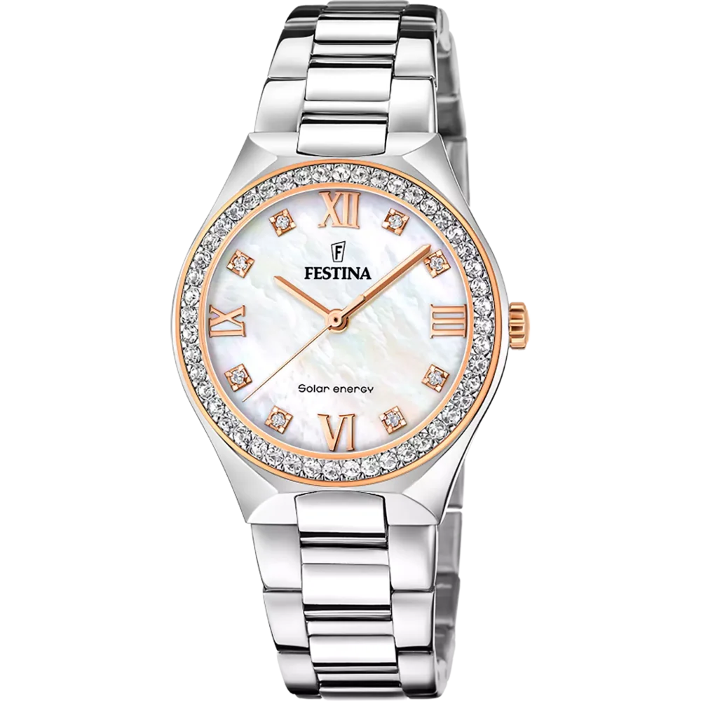 Hodinky Festina 20658/1