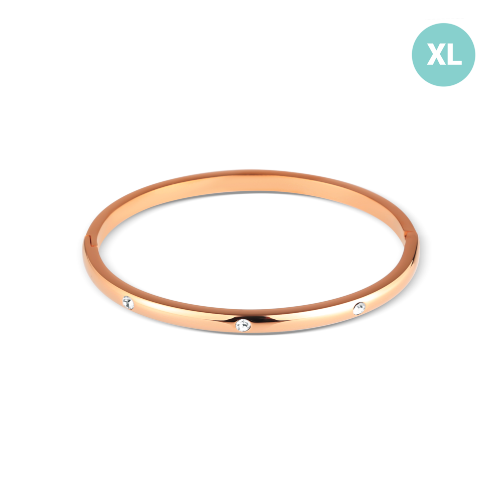 Levně Náramek JVD SSSB0094XI8ROXL