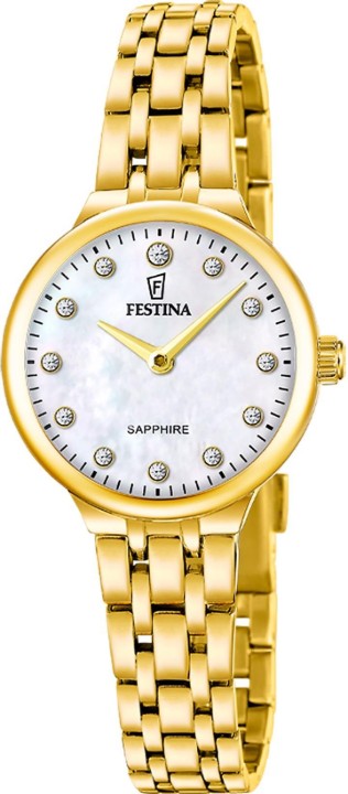 Hodinky Festina 20745/1