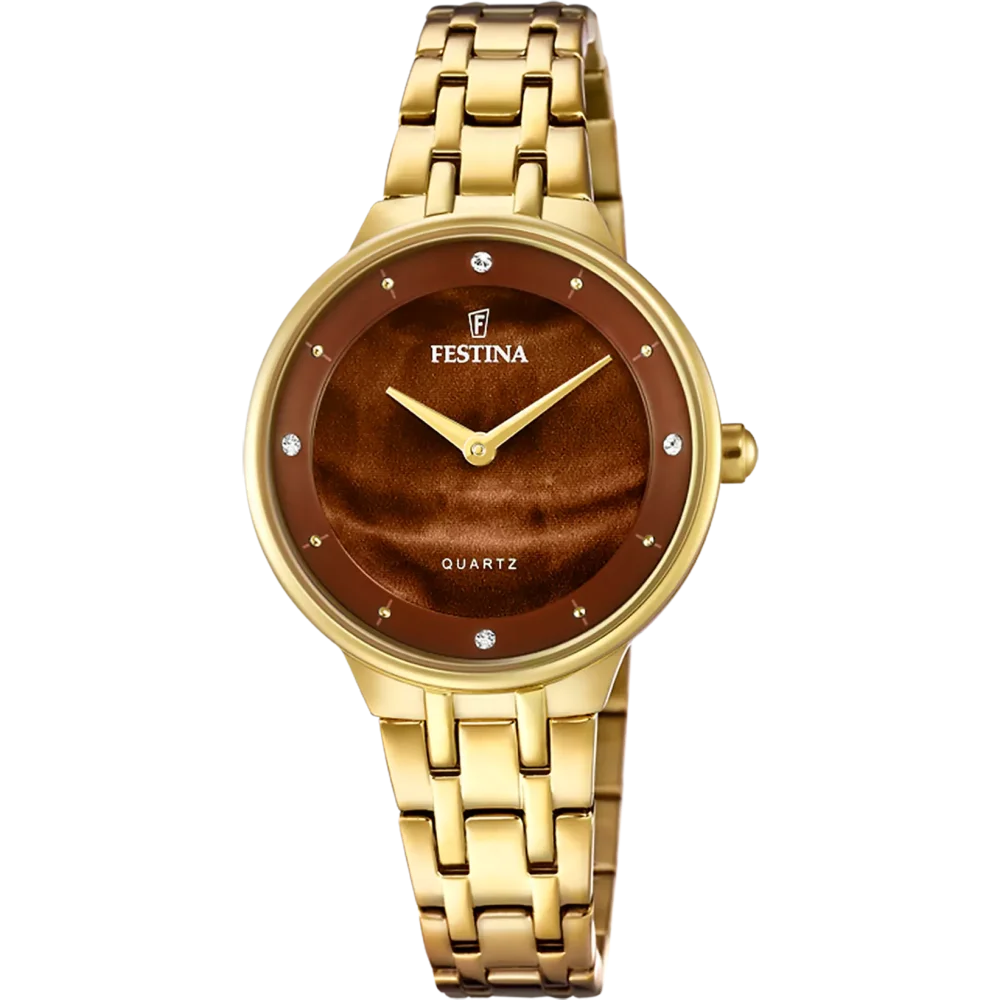 Hodinky Festina 20601/C