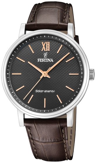 Hodinky Festina 20660/6