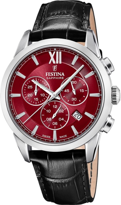 Hodinky Festina 20041/5