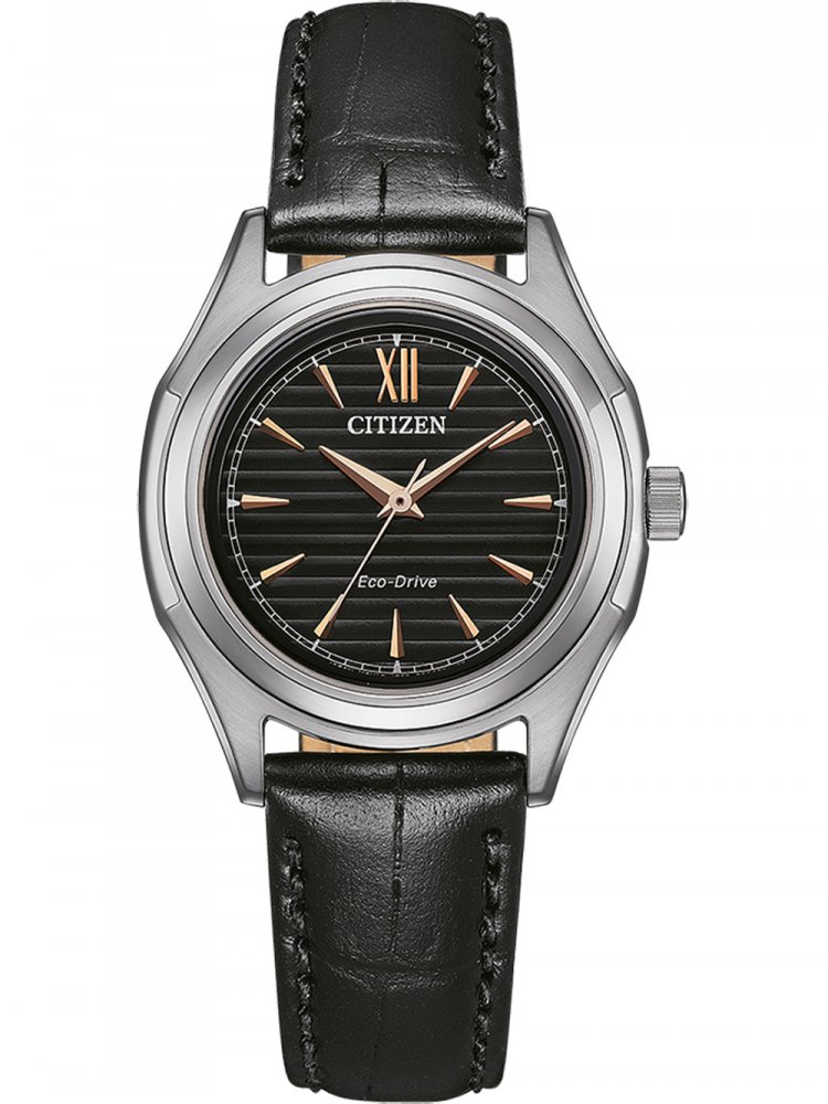 Hodinky Citizen FE2110-14E