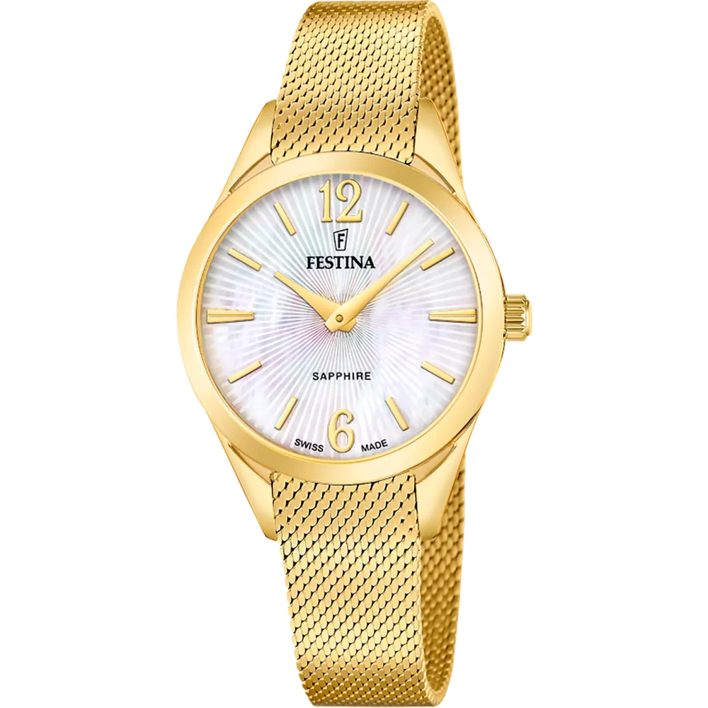 Hodinky Festina 20077/1