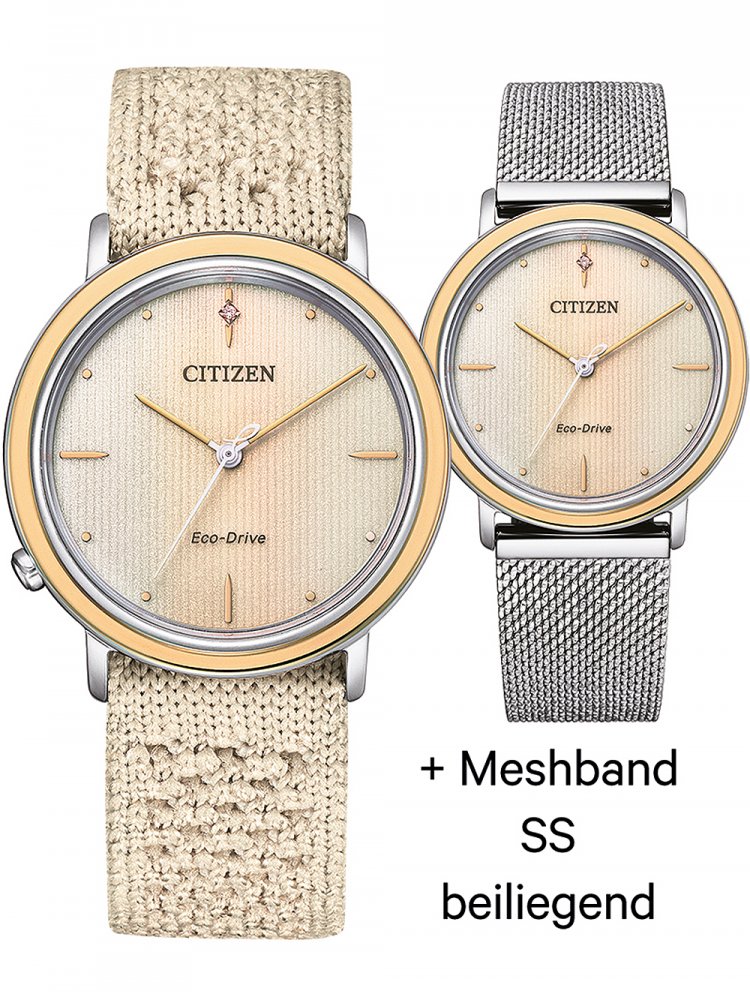 Hodinky Citizen EM1006-40A