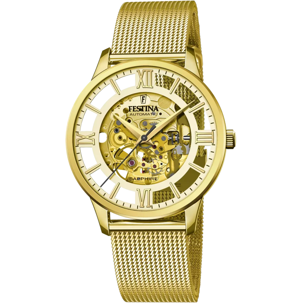 Hodinky Festina 20667/1