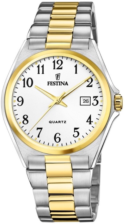 Hodinky Festina 20554/1